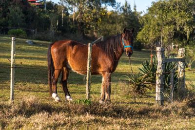 House Marrakech Villa Serrana Villa Serrana
