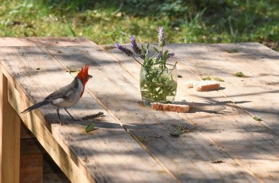 House Marrakech Villa Serrana Villa Serrana