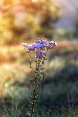 House Marrakech Villa Serrana Villa Serrana