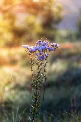 House Marrakech Villa Serrana Villa Serrana