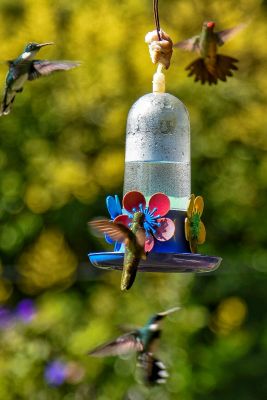House Marrakech Villa Serrana Villa Serrana
