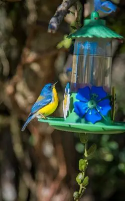 House Marrakech Villa Serrana Villa Serrana