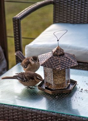 House Marrakech Villa Serrana Villa Serrana