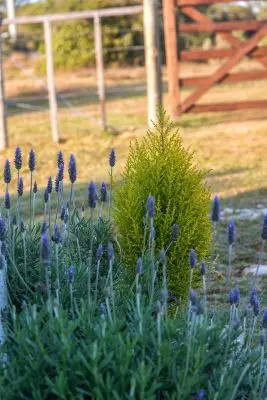 House Marrakech Villa Serrana Villa Serrana