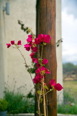 House Marrakech Villa Serrana Villa Serrana