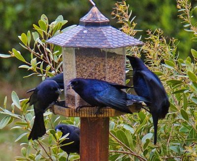 House Marrakech Villa Serrana Villa Serrana