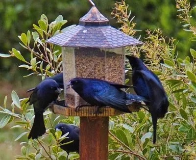 House Marrakech Villa Serrana Villa Serrana