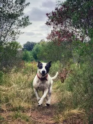 House Marrakech Villa Serrana Villa Serrana