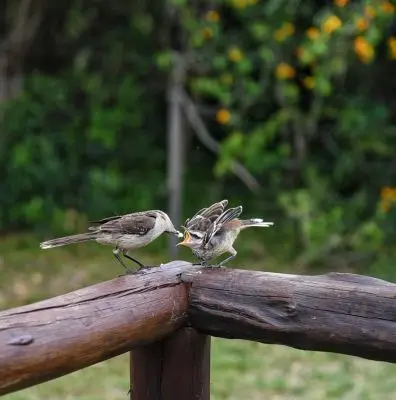 House Marrakech Villa Serrana Villa Serrana