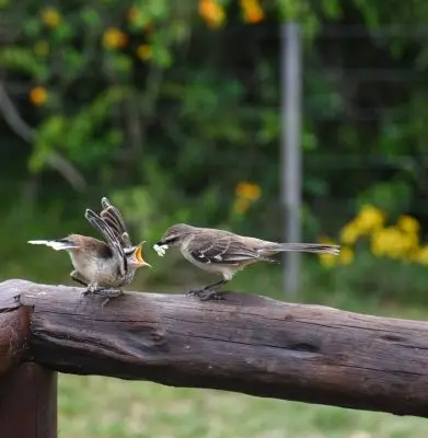 House Marrakech Villa Serrana Villa Serrana