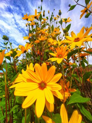 House Marrakech Villa Serrana Villa Serrana