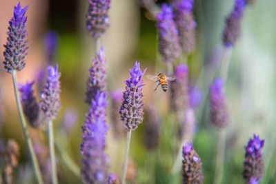 House Marrakech Villa Serrana Villa Serrana