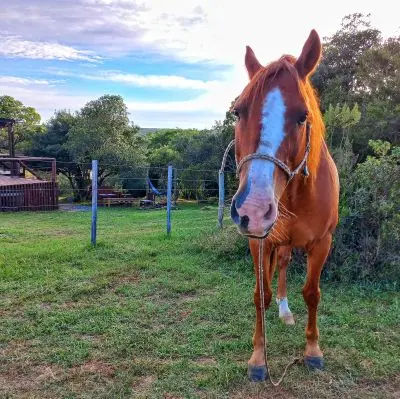 House Marrakech Villa Serrana Villa Serrana