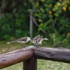 House Marrakech Villa Serrana Villa Serrana
