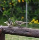 House Marrakech Villa Serrana Villa Serrana