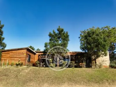 Casa Ni idea del Diablo Punta del Diablo