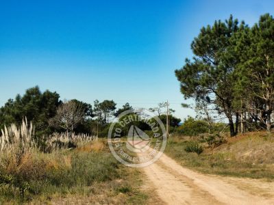 Casa Ni idea del Diablo Punta del Diablo
