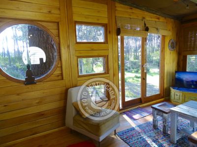 Cabana Cabaña en el Bosque de La Paloma La Paloma