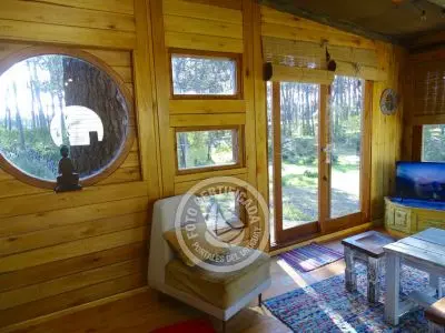 Cabaña Cabaña en el Bosque de La Paloma La Paloma