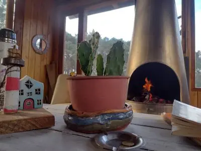 Cabaña Cabaña en el Bosque de La Paloma La Paloma