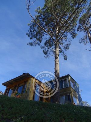 Cabana Cabaña en el Bosque de La Paloma La Paloma