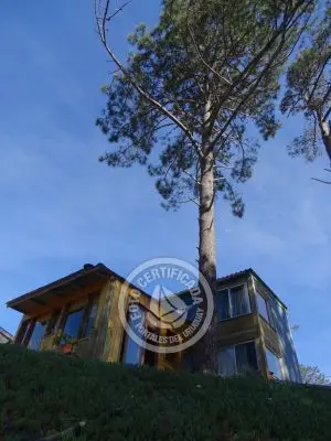 Cabaña Cabaña en el Bosque de La Paloma La Paloma