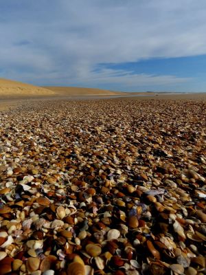Ranch Las Rubias Cabo Polonio