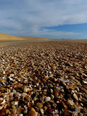 Rancho Las Rubias Cabo Polonio