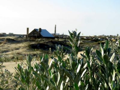 Ranch Las Rubias Cabo Polonio