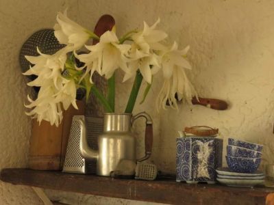 Ranch Las Rubias Cabo Polonio