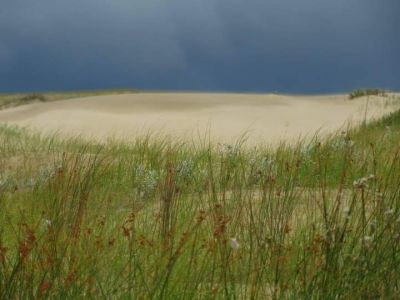 Ranch Las Rubias Cabo Polonio