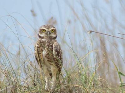 Ranch Las Rubias Cabo Polonio