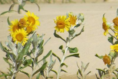Ranch Las Rubias Cabo Polonio