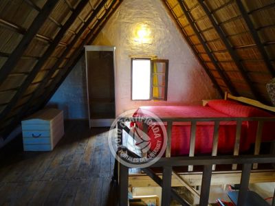 Cabin Tauro La Paloma