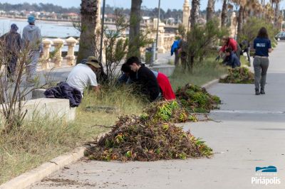 Jardinería rambla de Piriápolis