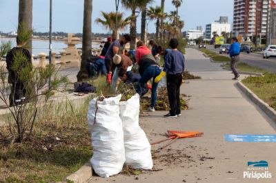 Jardinería rambla de Piriápolis