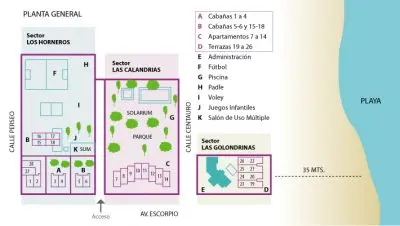 RonApart - La Paloma