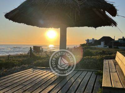 Apartamento Ron Apartamentos - Golondrinas  La Paloma