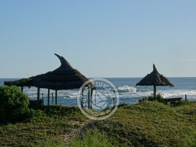 Apartamento Ron Apartamentos - Golondrinas  La Paloma