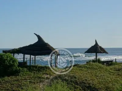 Apartamento Ron Apartamentos - Golondrinas  La Paloma