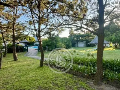 Apartamento Ron Apartamentos - Golondrinas  La Paloma