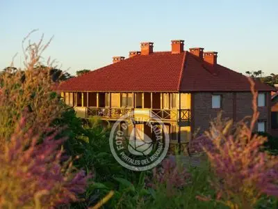 Apartamento Ron Apartamentos - Golondrinas  La Paloma