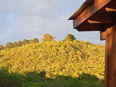 Cabana Caiguá Villa Serrana