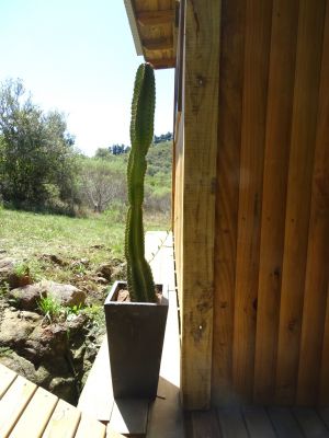 Cabana Caiguá Villa Serrana