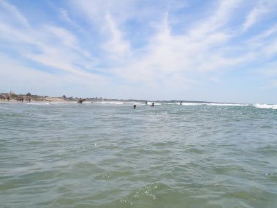 Casa CasaPerico La Paloma