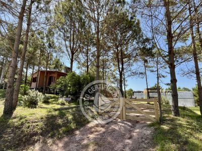 Cabin Chimuelo Punta del Diablo
