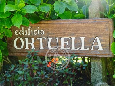 Ortuella 002 - Punta del Este .- Foto del 2/11/22, 13:01