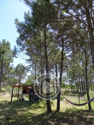 Casa Fe del Diablo Punta del Diablo