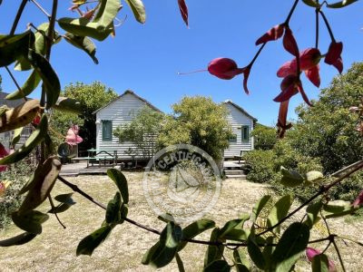 Cabaña Marimbas Punta del Diablo