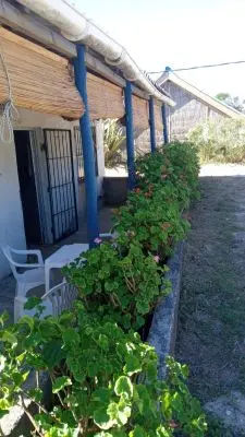 Nuevo amanecer 2 - Aguas dulces